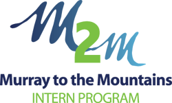 temp-M2M-logo